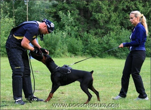 Summer training camp in Estonia 2007